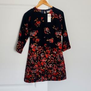 Abercombie & Fitch NEW dress